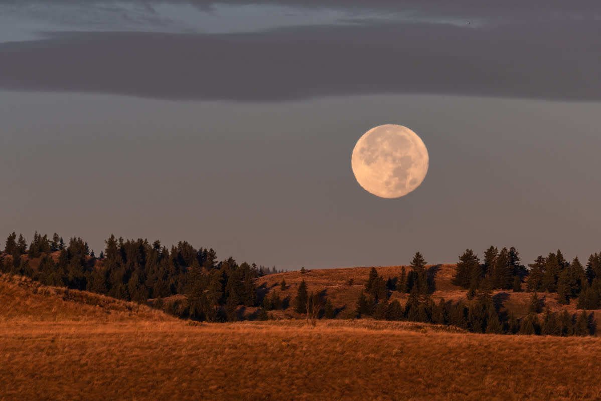 This Is What September’s Full Moon—the Harvest Moon—Means for You