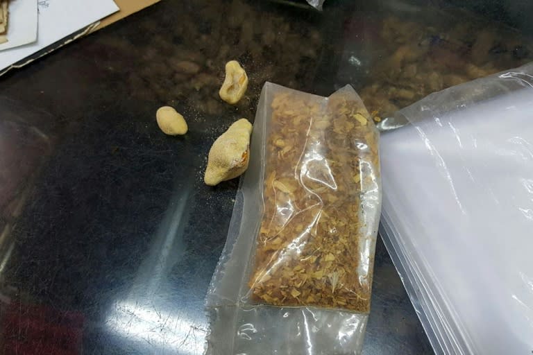 Deep fried pangolin scales next to a bag containing shredded pangolin scales at a traditional Chinese medicine store in Hong Kong