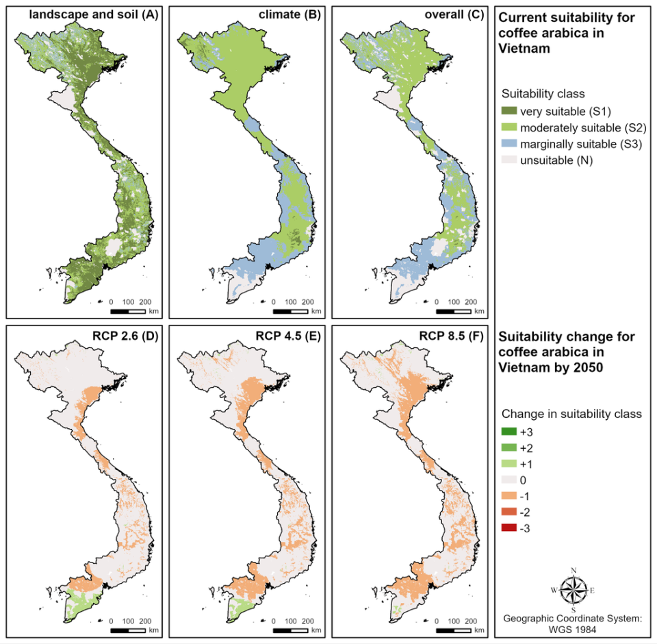 Map showing coffee growing areas of suitability in Vietnam under different climate scenarios between now and 2050 (Grüter et al)