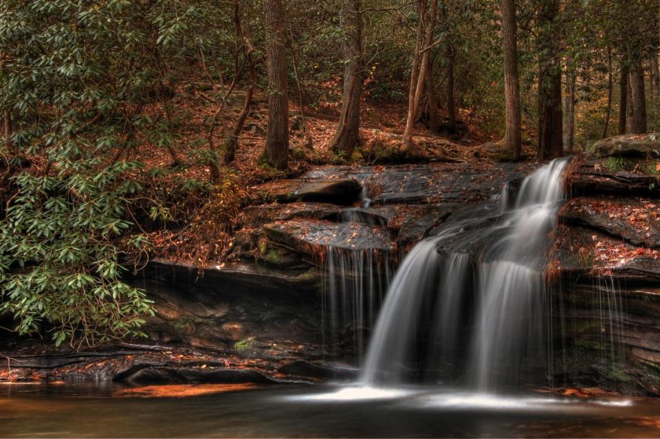 South Carolina: Carrick Creek Loop