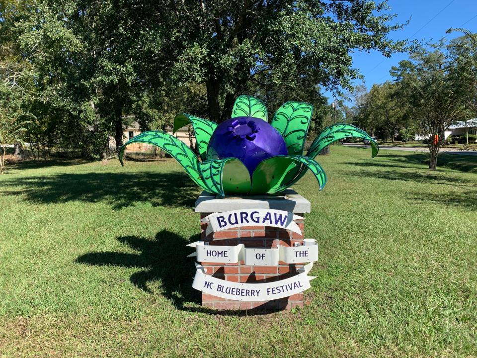 A statue in Burgaw commemorating the NC Blueberry Festival, which was canceled this year due to the COVID-19 pandemic.