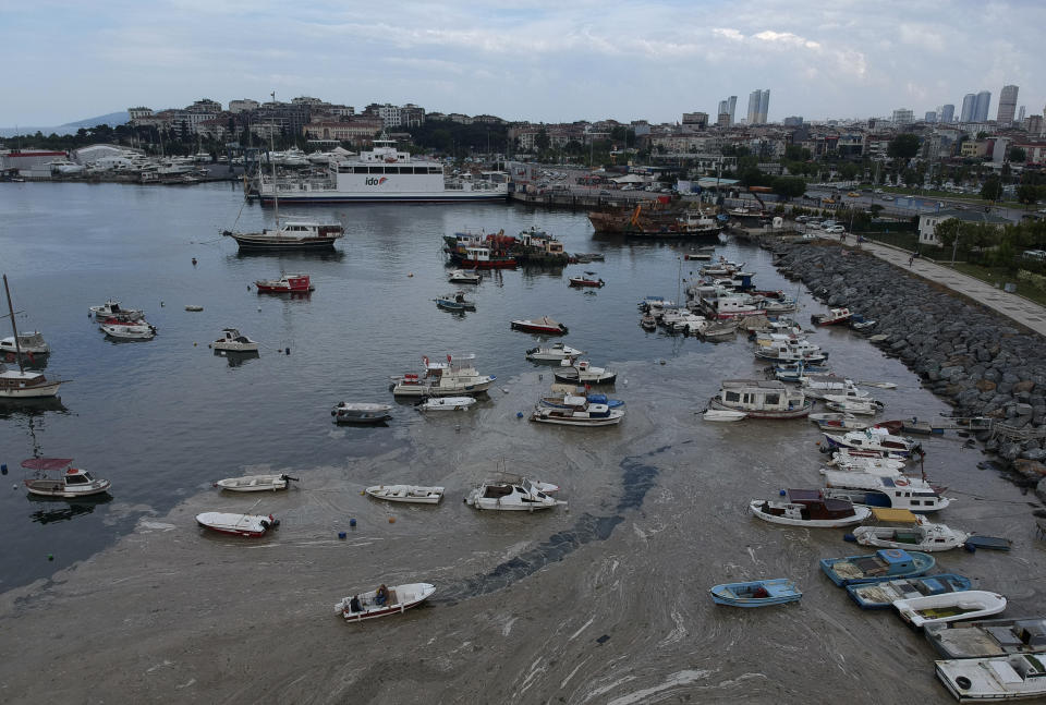 An aerial photo of Pendik port in Asian side of Istanbul, Friday, June 4, 2021, with a huge mass of marine mucilage, a thick, slimy substance made up of compounds released by marine organisms, in Turkey's Marmara Sea. Turkey's President Recep Tayyip Erdogan promised Saturday to rescue the Marmara Sea from an outbreak of "sea snot" that is alarming marine biologists and environmentalists. Erdogan said untreated waste dumped into the Marmara Sea and climate change had caused the sea snot bloom. Istanbul, Turkey's largest city with some 16 million residents, factories and industrial hubs, borders the sea.(AP Photo)
