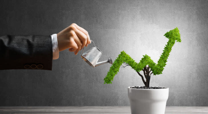 Hand of woman watering small plant in pot shaped like growing graph representing growth stocks