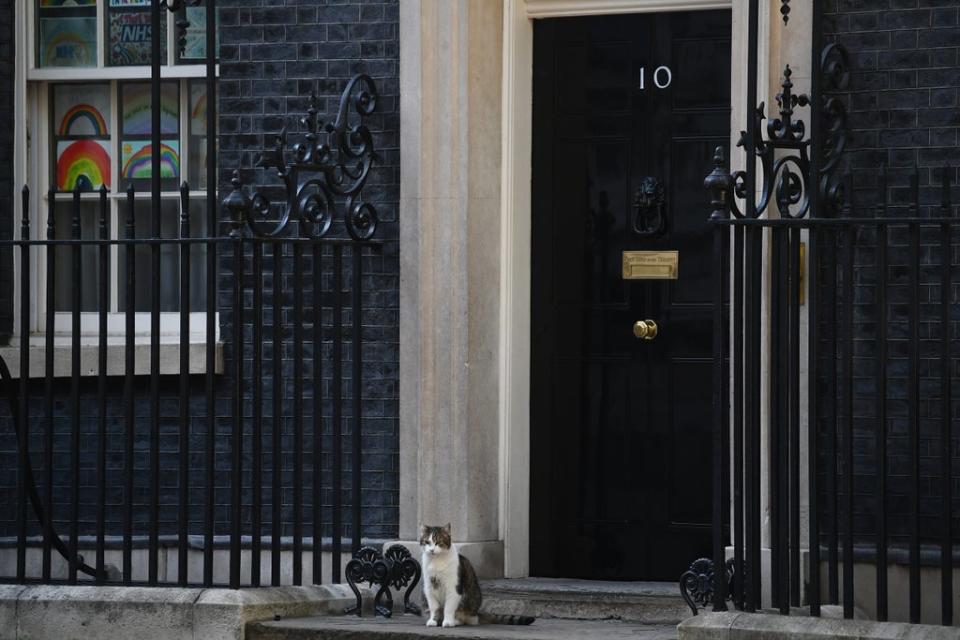 Sue Gray is investigating the Downing Street party allegations (Victoria Jones/PA) (PA Archive)