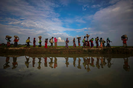 Rohingya refugees are reflected in rain water along an embankment next to paddy fields after fleeing from Myanmar into Palang Khali, near Cox's Bazar, Bangladesh November 2, 2017. REUTERS/Hannah McKay/File Photo