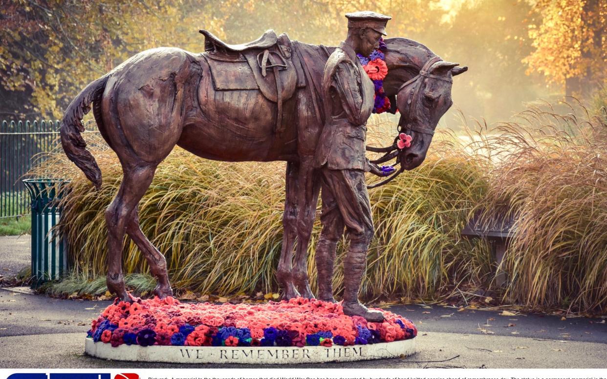 A memorial to the thousands of horses that died World War One has been decorated by hundreds of hand knitted poppies ahead of remembrance day. The statue is a permanent memorial in the Memorial Park, Romsey - Solent News & Photo Agency