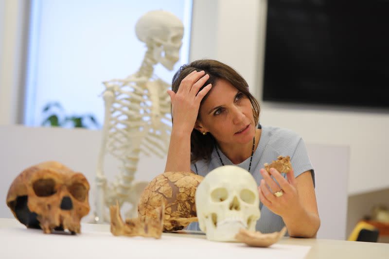 Nesher Ramla - pieces of fossilised bone of a previously unknown kind of early human discovered in Israel