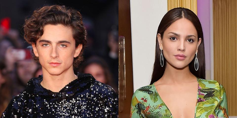 Timothée Chalamet and Eiza González