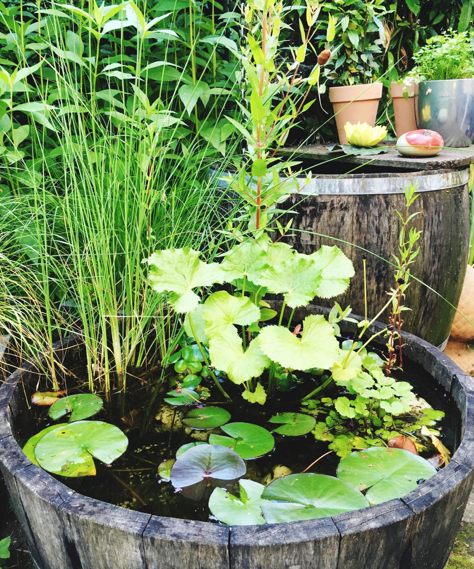 24. Create a secluded spot with a garden pond