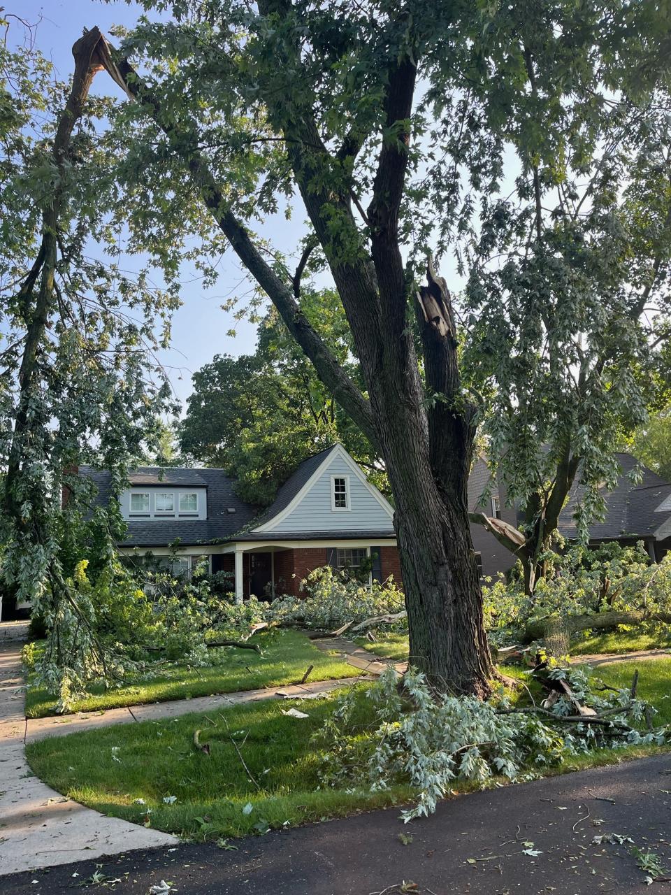 An overnight storm ripped the apart trees, leaving damage Thursday morning, June 20, 2024 in Southfield and Beverly Hills, near 13 Mile and Southfield roads.