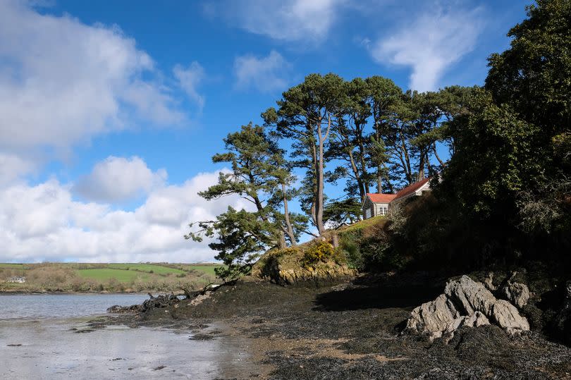 The quiet waters of Frenchman's Creek