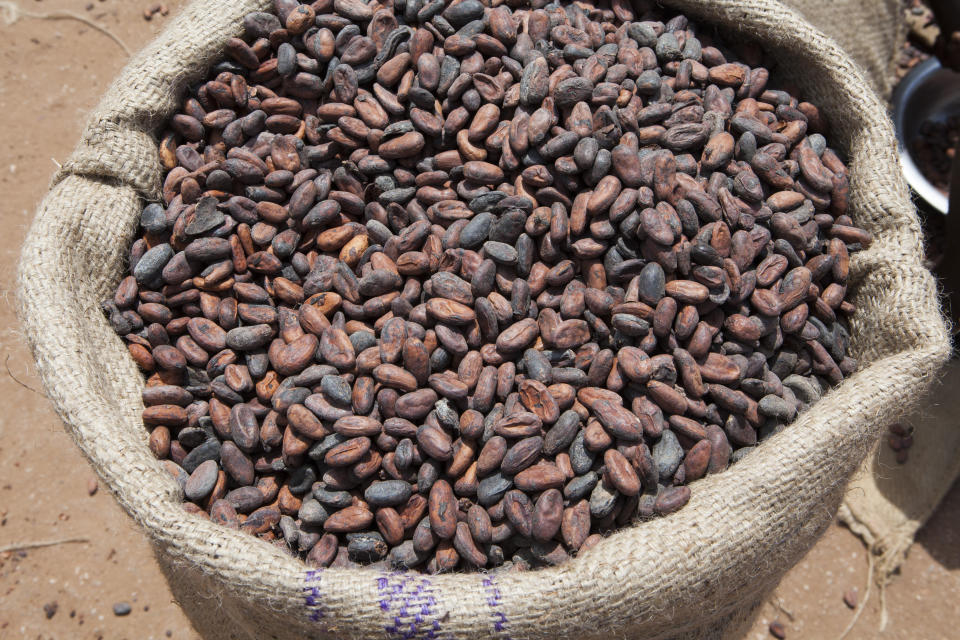 Ghana is the second-largest producer of cocoa in the world, so the <a href="https://visitghana.com/cocoa-ecotourism-initiative-launched-to-promote-ghanas-cocoa-as-a-tourism-product/" target="_blank" rel="noopener noreferrer">Ghana Tourism Authority</a> recently launched its Cocoa Ecotourism Initiative to promote cocoa farms as a tourist attraction. Indeed, travelers can take <a href="https://www.lonelyplanet.com/ghana/accra/activities/cocoa-trail/a/pa-act/v-66673P2/355309" target="_blank" rel="noopener noreferrer">tours to learn about the history</a> and current practice of cocoa production in the country.