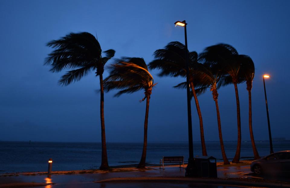 Five named storms have formed this year, including Hurricane Elsa, which spun up along the west coast of Florida in early July.