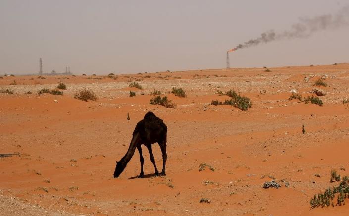 Saudi Arabia's Aramco will invest $7 bn in a Malaysia oil refinery project (AFP Photo/MARWAN NAAMANI)