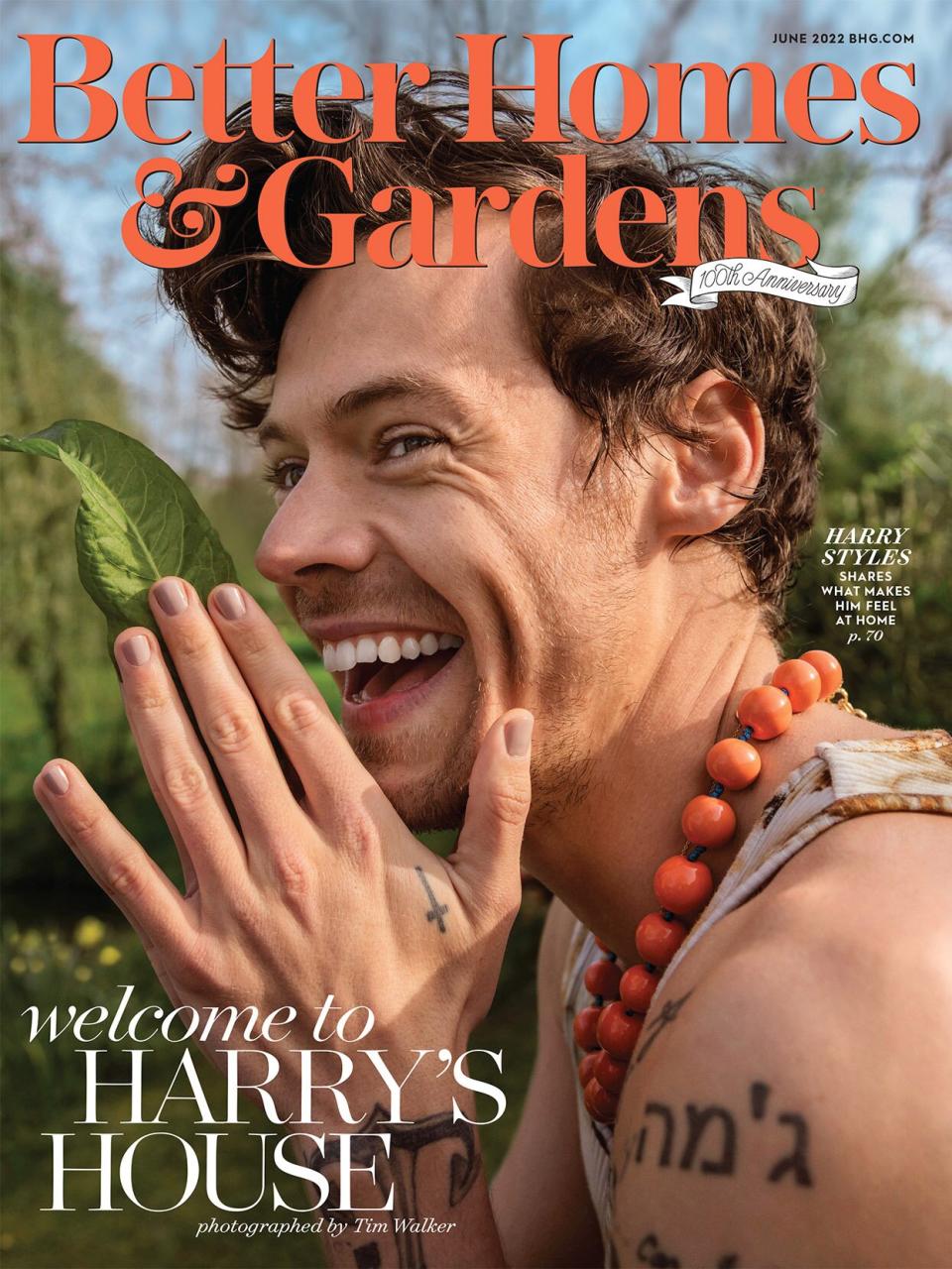 Harry Styles Better Homes & Gardens