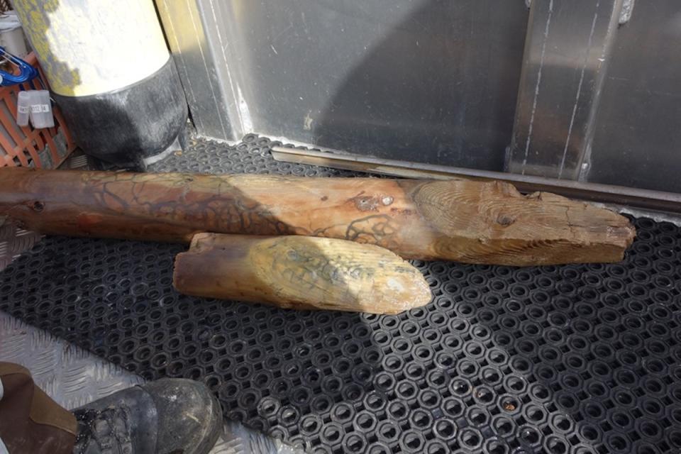 Two pieces of wood from an old settlement sitting on a boat deck