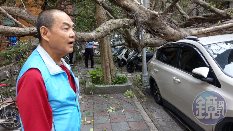 張姓男子將車子停在停車格遭大樹壓壞，將研究聲請國家賠償。