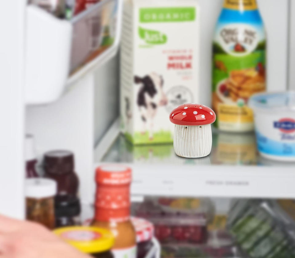 Mushroom Baking Soda Holder Ceramic Fridge Deodoriser. (Photo: Amazon SG)