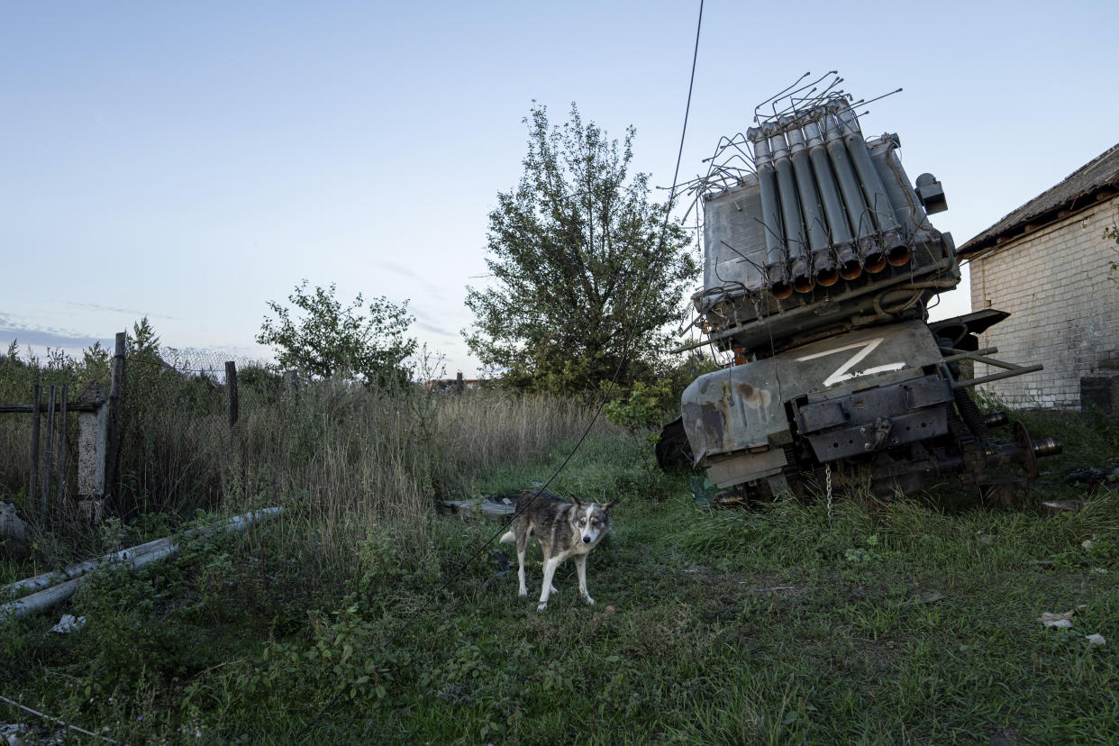 A dog walks in front of destroyed Russian MSLR BM-21 Grad with sign "Z" in the recently retaken area of Kamyanka, Ukraine, Monday, Sept. 19, 2022. Residents of Izium, a city recaptured in a recent Ukrainian counteroffensive that swept through the Kharkiv region, are emerging from the confusion and trauma of six months of Russian occupation, the brutality of which gained worldwide attention last week after the discovery of one of the world's largest mass grave sites.(AP Photo/Evgeniy Maloletka)