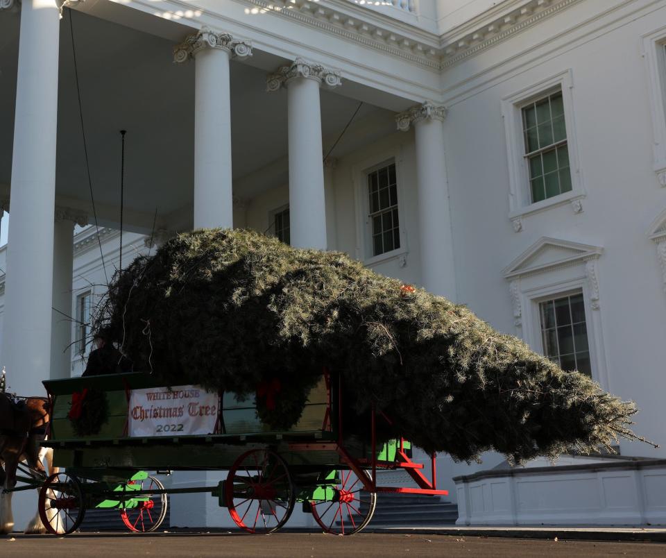 A Concolor fir lays on a wagon in front of the White House