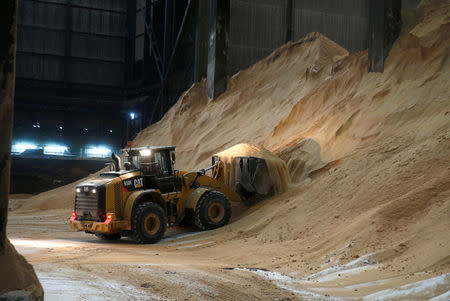 A Caterpillar wheel loader moves raw cane sugar for processing at the Tate & Lyle refinery in east London, Britain October 10, 2016. REUTERS/Peter Nicholls