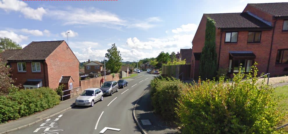 Residents on Rogers Meadow in Wiltshire objected to a broadband pole so the entire street has been excluded from an ultrafast broadband upgrade. (Instant Street View)