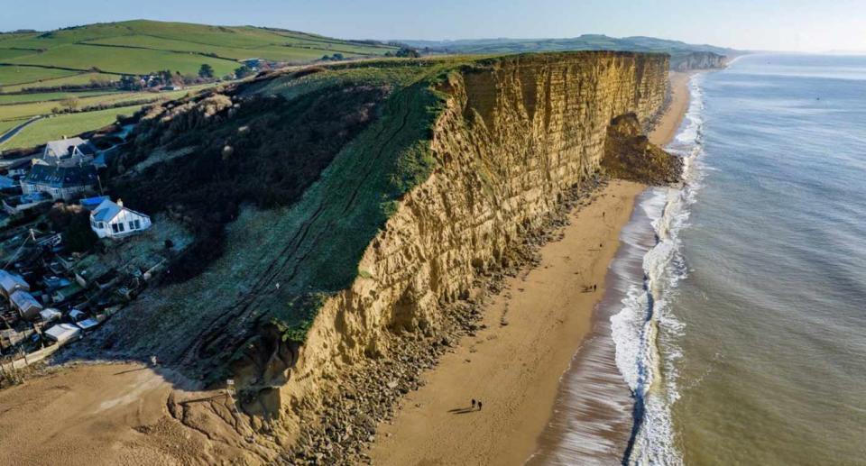 West Bay Cliff in Dorset. (swns)