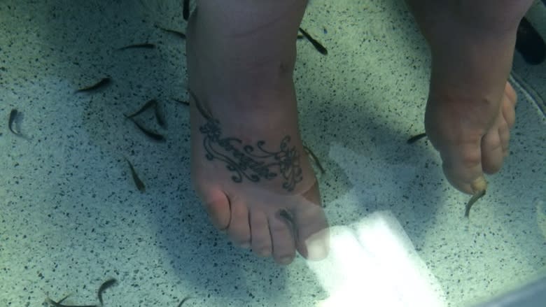 Controversial 'fish pedicures' now offered in Gander