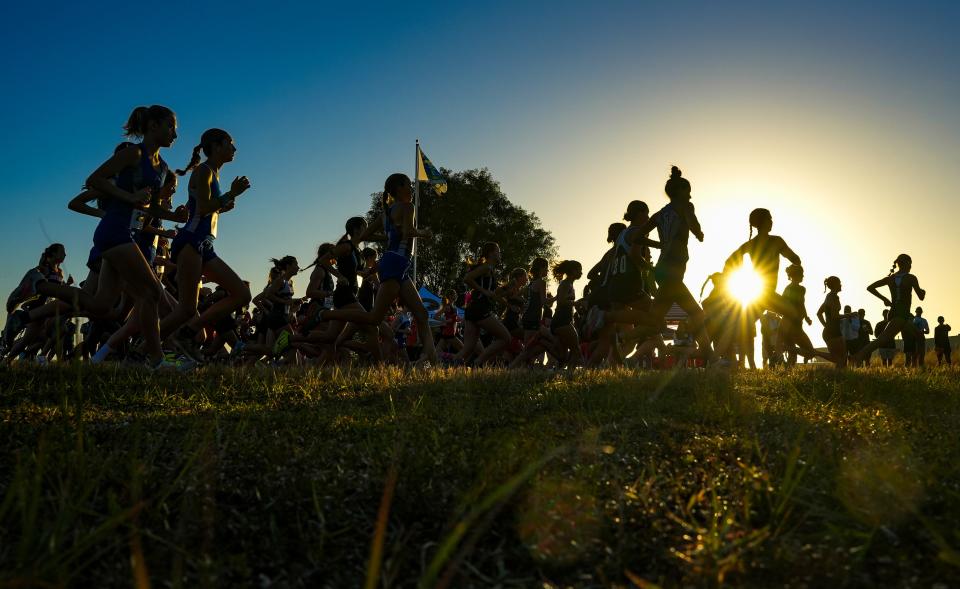 Runners begin the varsity girls race during the Collier County Athletic Conference cross country championship at Palmetto Ridge High School in Naples on Wednesday, Oct. 25, 2023.