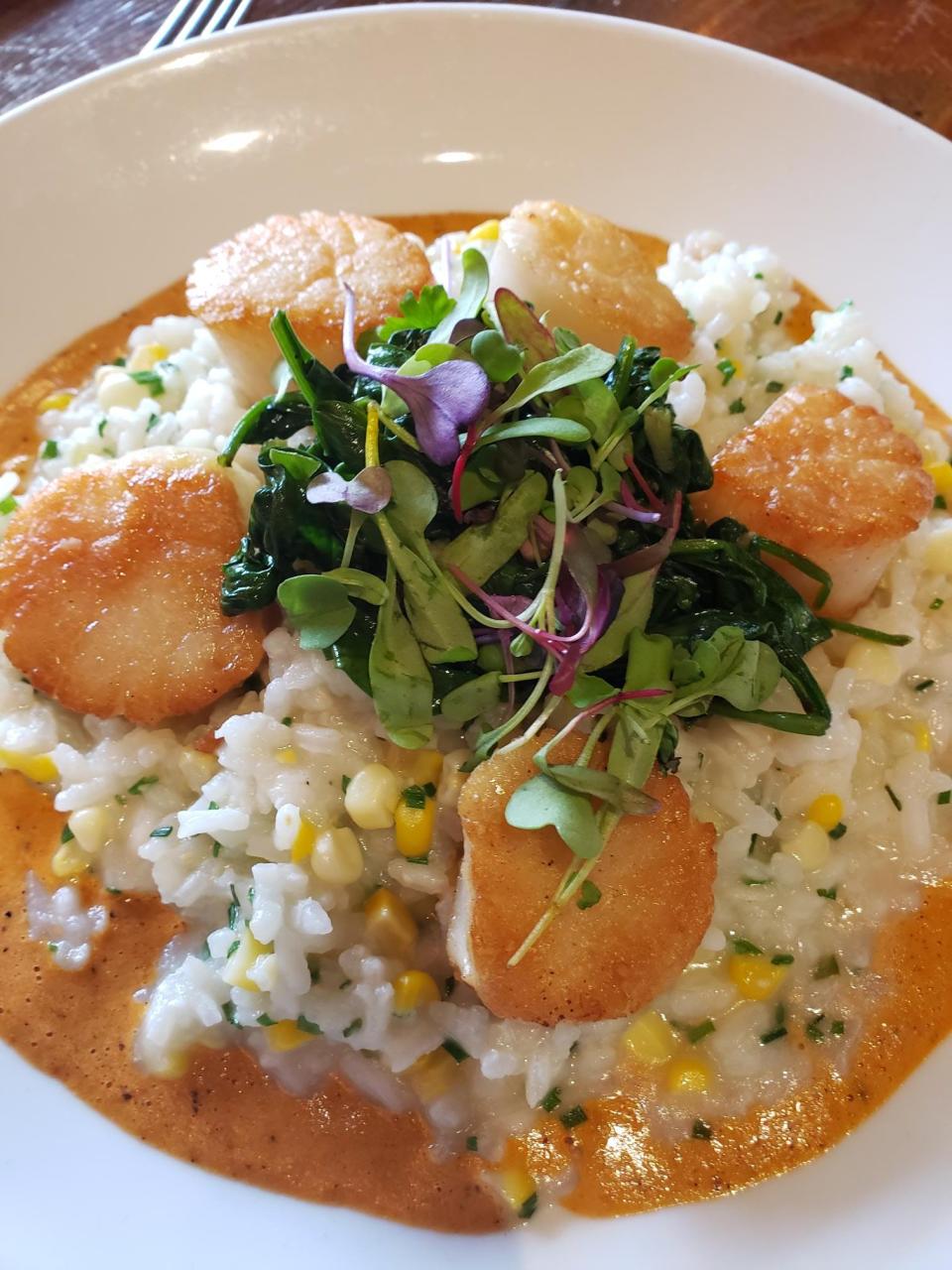 New Bedford Scallops with a corn risotto was a perfect dish at Avenue N Providence.