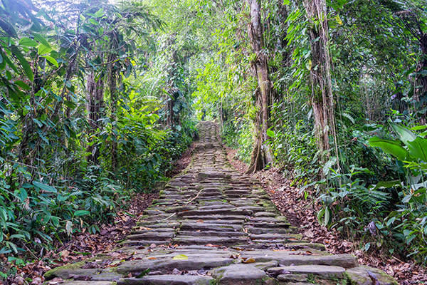 <p>Este sendero colombiano recorre un antiguo asentamiento indígena al que solo es posible acceder a pie a través del bosque tropical húmedo. Para realizarlo debes tener un paquete organizado que incluya entrada, guía y pagos a comunidades. Toma unos cinco días recorrerlo.<em> Foto: DC_Colombia / Getty Images.</em> </p>