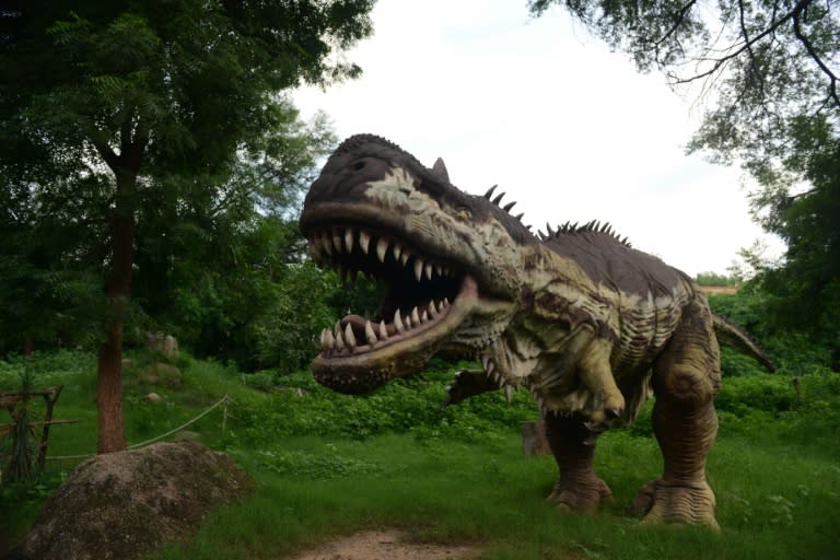 Fibreglass models are on display but it is estimated around 10,000 fossilised dinosaur eggs have been found in the area