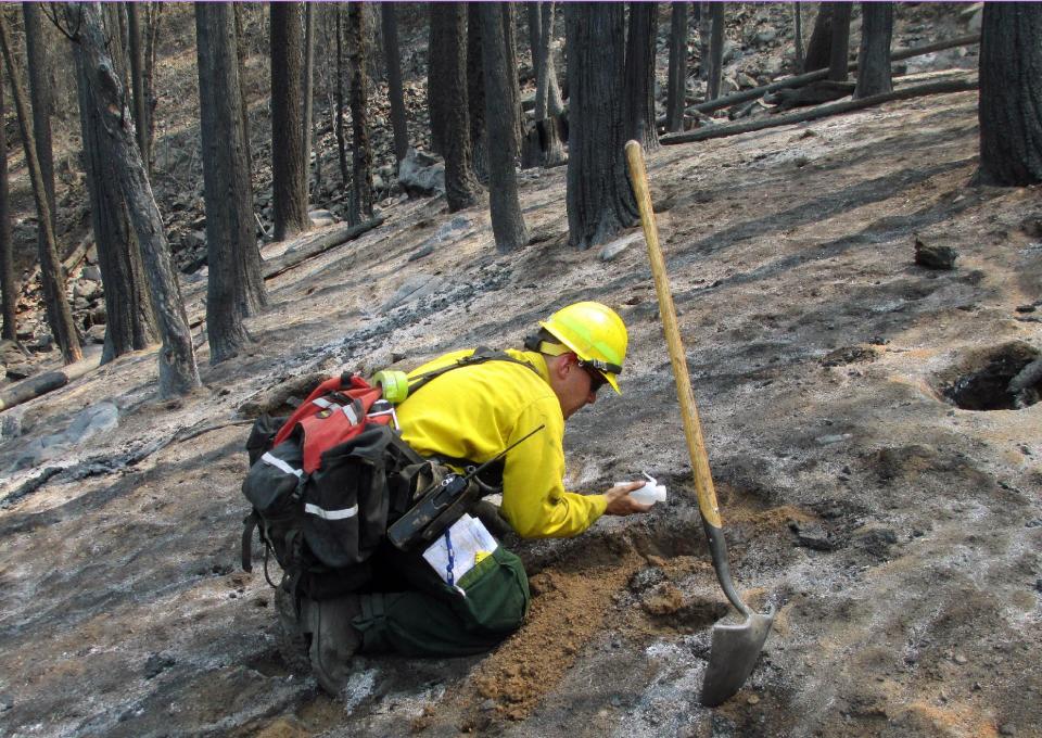 In this September 2013 photo provided by the U.S. Forest Service, a soils scientist from the Burned Area Emergency Response team assesses a burn area in the Rim Fire near Yosemite National Park, Calif. Of the more than 250,000 acres that burned within the Rim Fire perimeter, the National Park Service’s Burned Area Emergency Response team estimated Monday Sept. 16, 2013, that 7 percent burned at high severity, 37 percent at moderate severity and the other 56 percent either didn’t burn or burned at low severity. (AP Photo/U.S. Forest Service, Brad Rust)