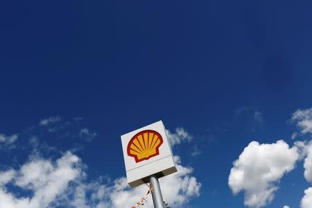 A logo of Shell is pictured at a gas station in the western Canakkale province, Turkey April 25, 2016. REUTERS/Murad Sezer