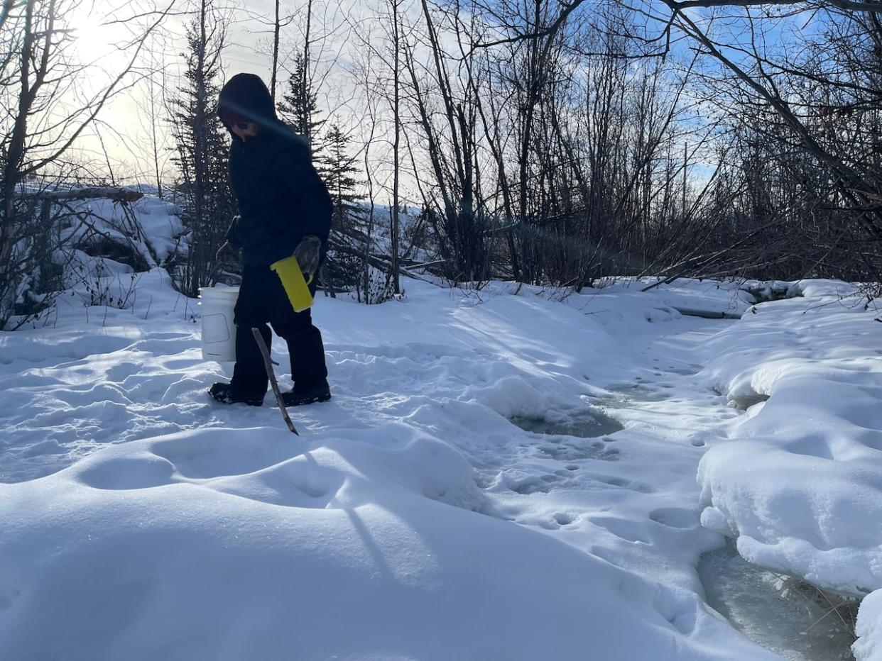 Meta Williams carries a pail of a water she's drawn from Stony Creek. Williams is among a group of area residents who say they're concerned about the potential impacts of a proposed placer mine along a portion of the creek. (Julien Gignac/CBC - image credit)