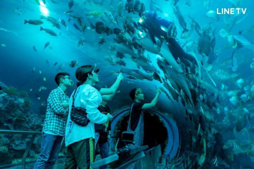 EXO開心造訪墾丁的水族館，用手機捕捉水中美景。（LINE TV提供）