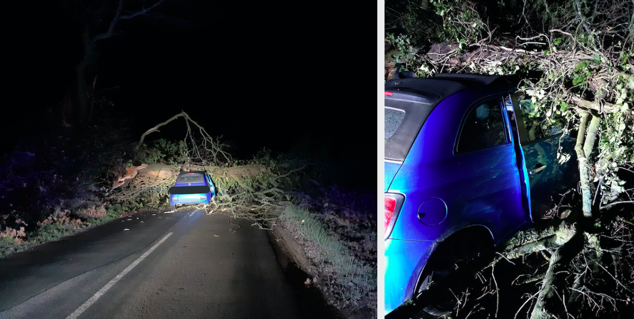 A huge oak tree fell on top of a driver's Fiat 500 in Suffolk. (SWNS)