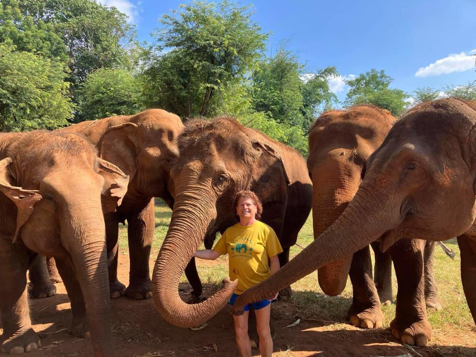 Redding nurse Kathy Snyder cares for abused and injured elephants at the Elephant Nature Park in the north Thailand jungle.