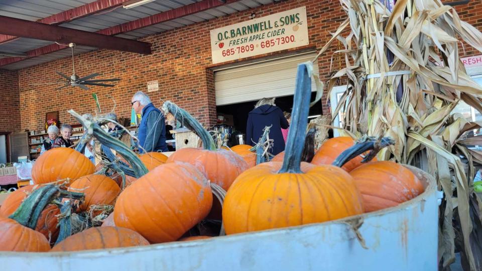 Barnwell's Apple House is located at 2900 Chimney Rock Road in Hendersonville and is now offering pumpkins.