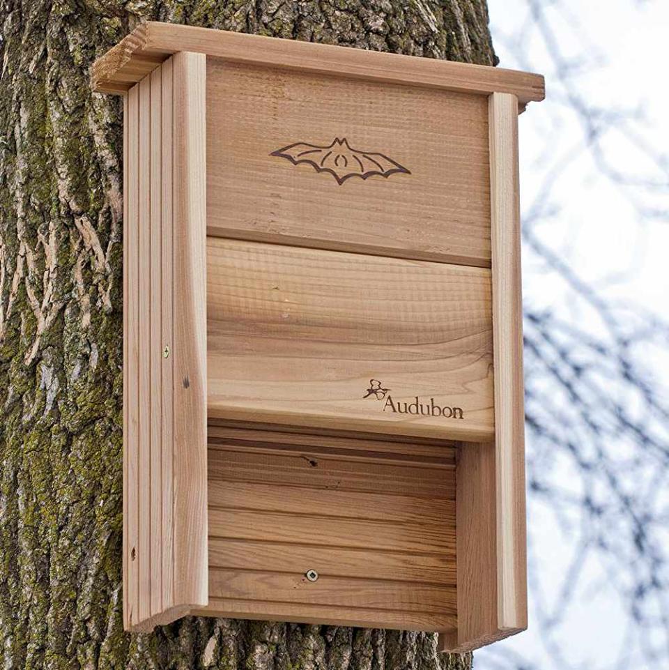 Audubon Bat Shelter Model NABAT on tree