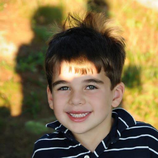 <a href="http://www.noahpozner.com/" target="_blank">Noah Pozner</a> was&nbsp;an energetic 6-year-old who loved&nbsp;Legos, playgrounds and superheroes. His best friend was his twin sister, Arielle. His family directed donations to <a href="http://www.honr.com/" target="_blank">The&nbsp;Honr Network</a>.