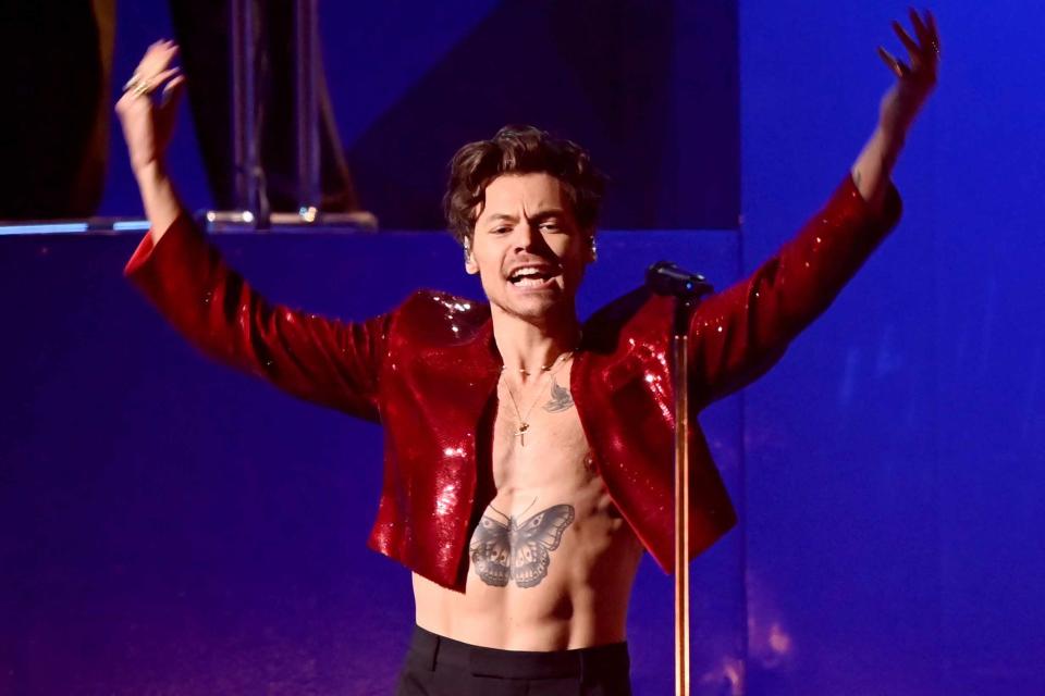 <p>Dave J Hogan/Getty </p> Harry Styles