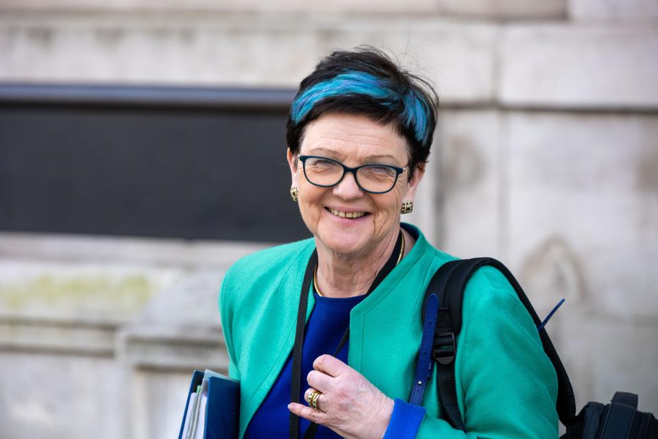 London, UK. 20th Feb, 2024. Politicians leave the Cabinet Office 70 Whitehall London UK Baroness Neville-Rolfe DBE CMG Credit: Ian Davidson/Alamy Live News