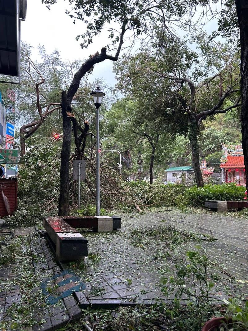 海葵強襲台東，多處路樹被吹斷，阻礙通行。（圖／翻攝自台東大小事臉書）