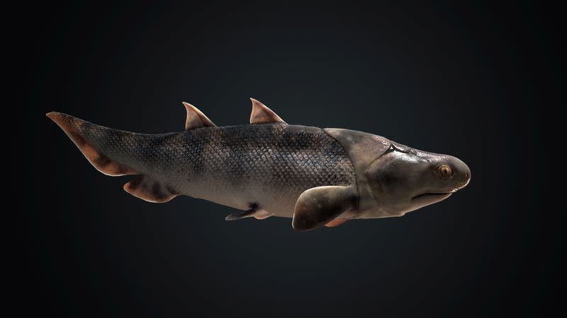 An artist's life reconstruction of the small Silurian Period shark-like fish Shenacanthus vermiformis