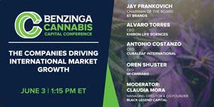 Benzinga Cannabis Capital Panel