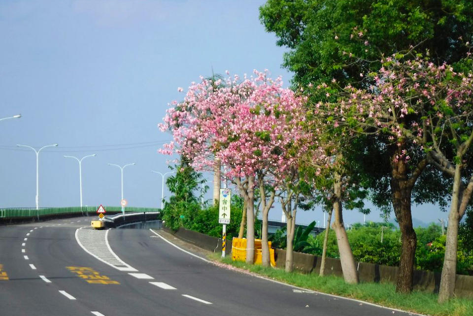 高公局建議欲往返南投地區旅客，可直接利用台63線中投公路避開國道塞車路段。(圖為台63線)   圖：取自公路總局