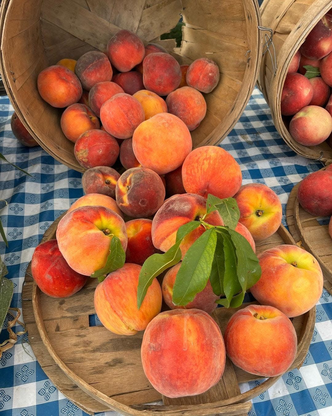 Fresh peaches from Hauser Hill Farms in Old Bridge, which will be a vendor at the Highlands and Red Bank farmers markets this year.