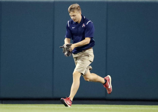 Groundskeeper - St. Louis Cardinals