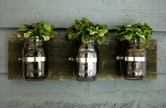 Mason Jar Wall Planter